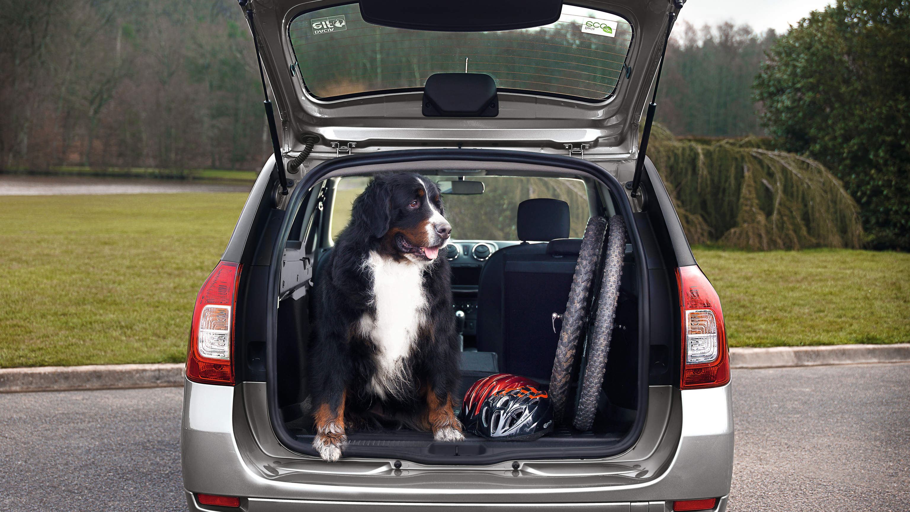 Dacia-logan-mcv-dog-in-boot.jpg